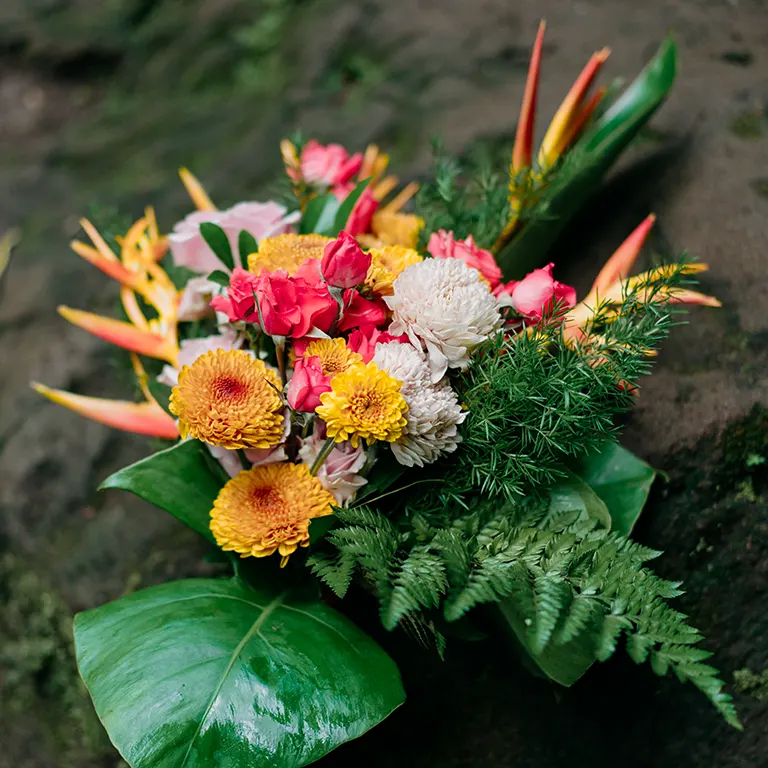 waterfall bali proposal